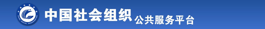 插进嫩B里面全国社会组织信息查询